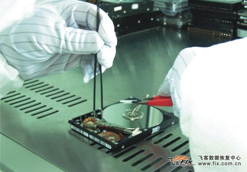 <strong>֥ûɫ</strong>